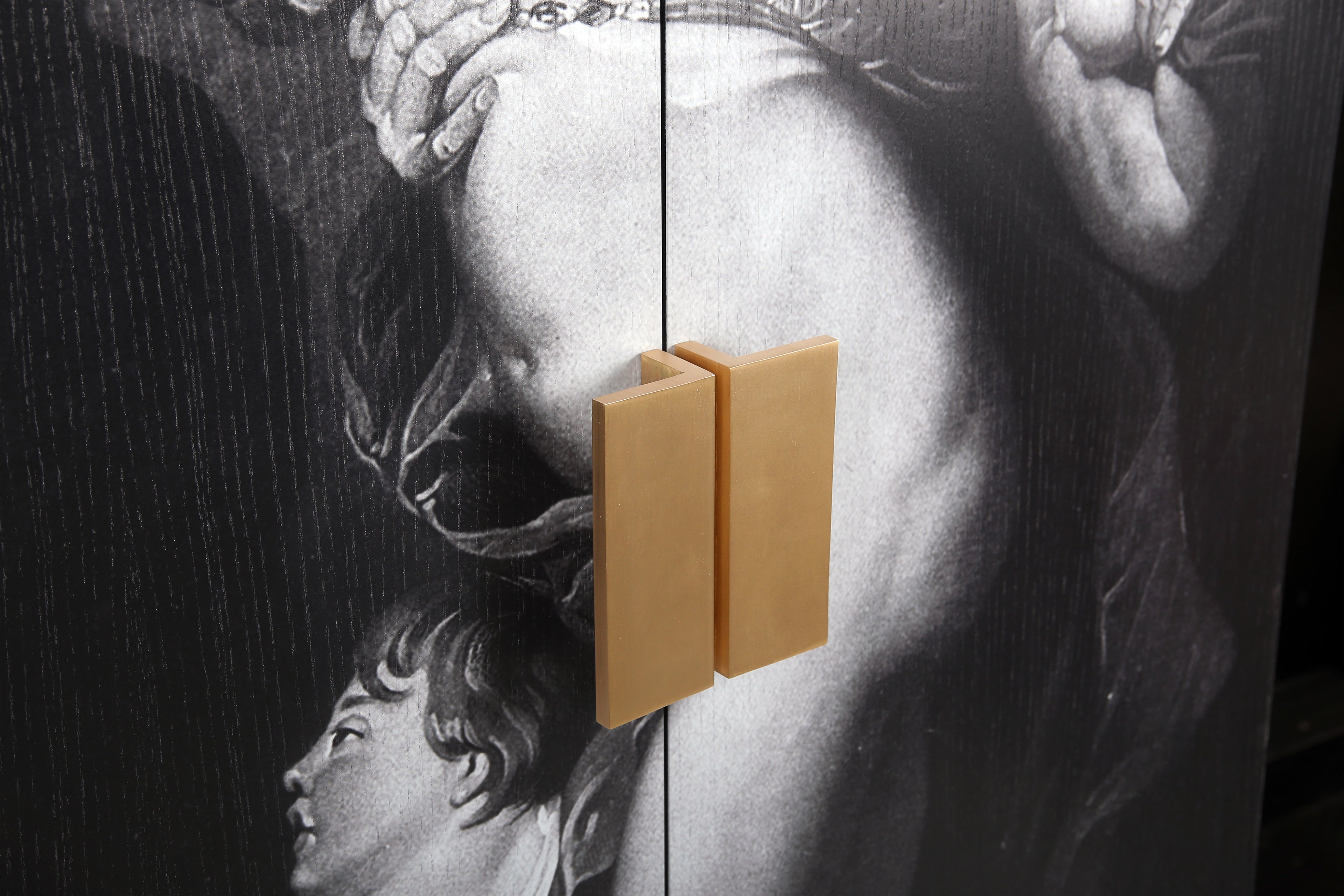 Luxury wardrobe with black ash veneer, brass handles, and printed artwork.