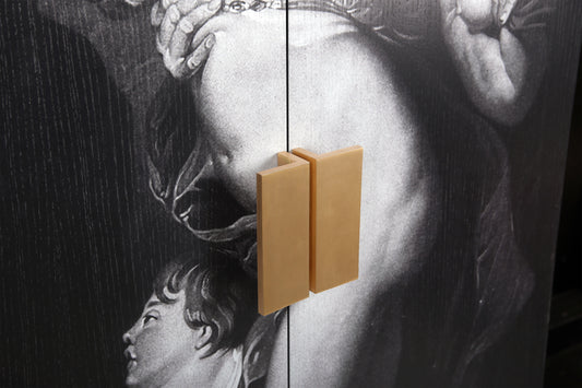 Luxury wardrobe with black ash veneer, brass handles, and printed artwork.