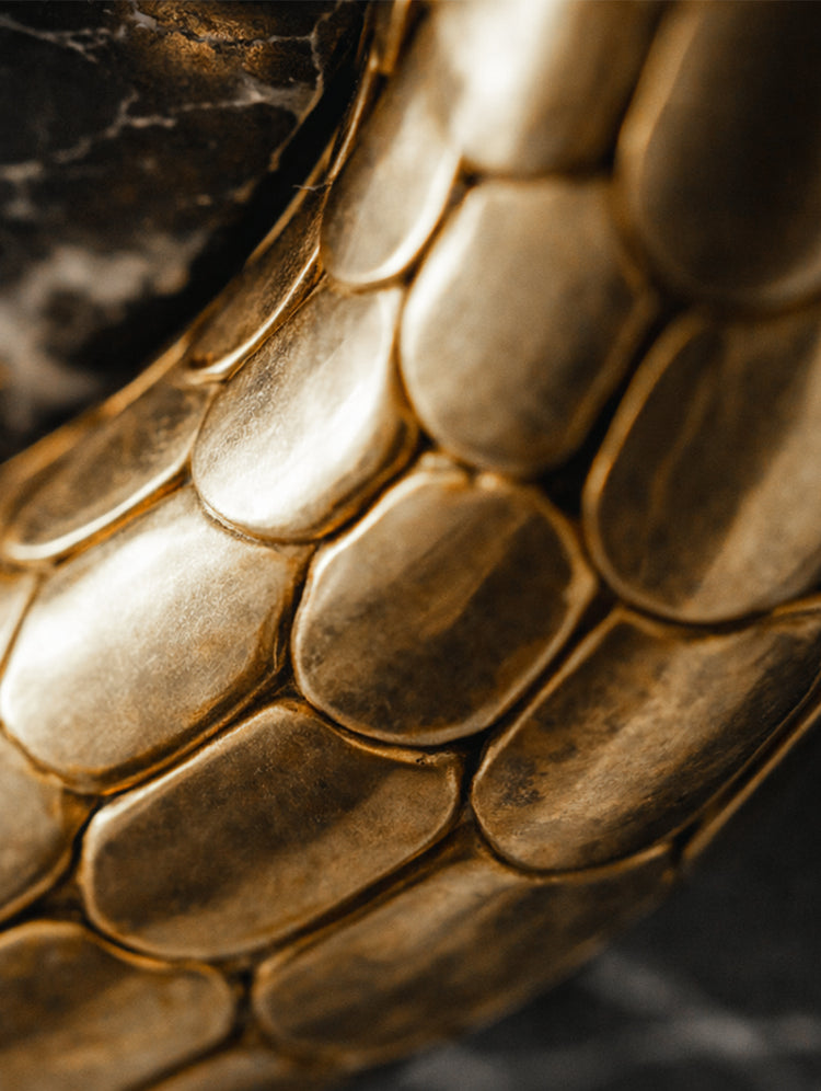 Close-up of a snake's textured skin with a dark background
