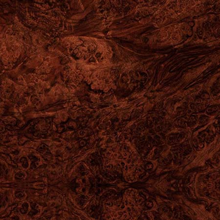 Walnut Root